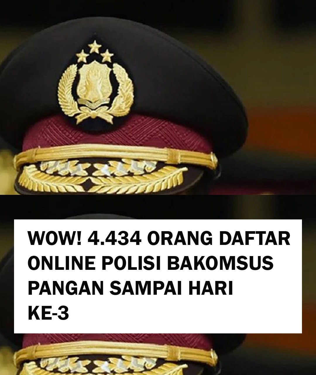 Total Pendaftar Bakomsus bidang Pangan Polri Hingga Hari ke-3 4.434 Orang 