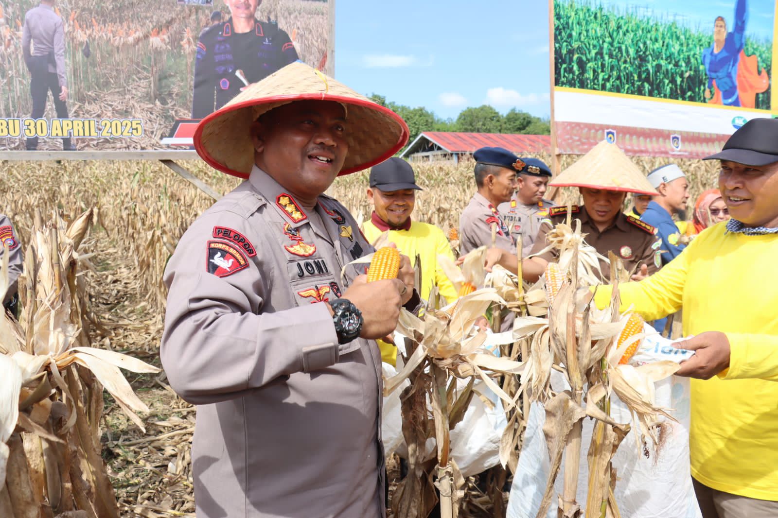 Dukung Ketahanan Pangan, Dansat Brimob Polda Sumbar Pimpin Panen Jagung Di Padang Tujuh