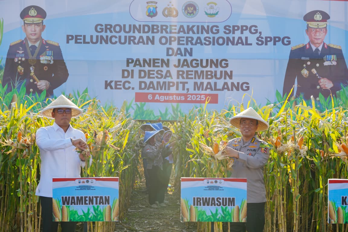 Panen Raya Jagung di Malang, Wujud Nyata Komitmen Polri dalam Ketahanan Pangan Nasional 
